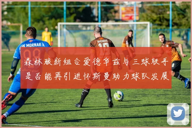 森林狼新组合爱德华兹与三球联手是否能再引进怀斯曼助力球队发展