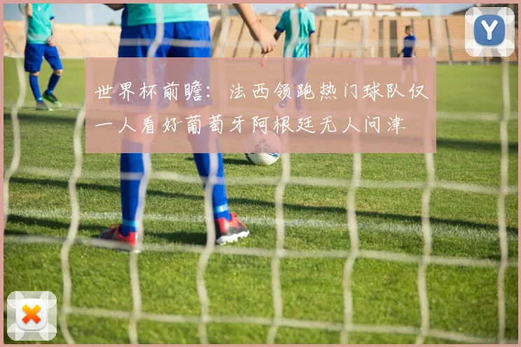 世界杯前瞻：法西领跑热门球队仅一人看好葡萄牙阿根廷无人问津
