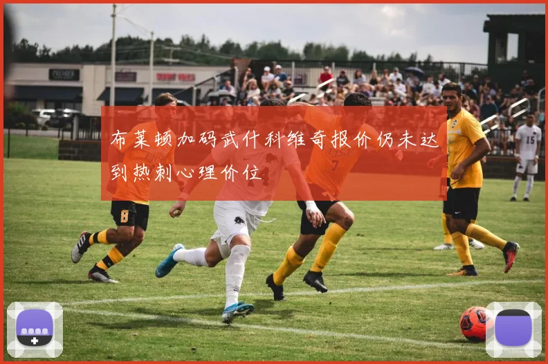 布莱顿加码武什科维奇报价仍未达到热刺心理价位